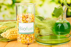 Synton biofuel availability