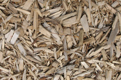 biomass boilers Synton